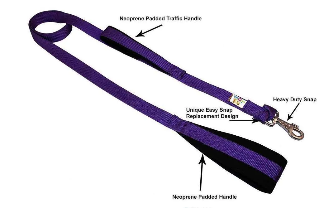 BARGAIN BIN Nylon Padded Double Handle Dog Leash Warranted Replaceable Snap 1" X 4'