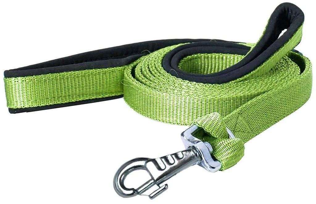 BARGAIN BIN Nylon Padded Double Handle Dog Leash Warranted Replaceable Snap 1" X 4'