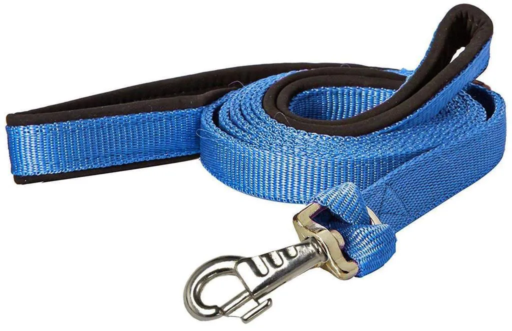 BARGAIN BIN Nylon Padded Double Handle Dog Leash Warranted Replaceable Snap 1" X 4'