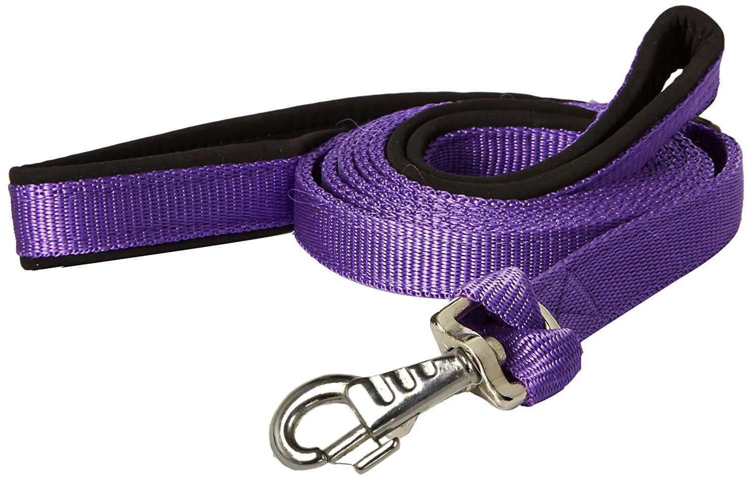 BARGAIN BIN Nylon Padded Double Handle Dog Leash Warranted Replaceable Snap 1" X 4'