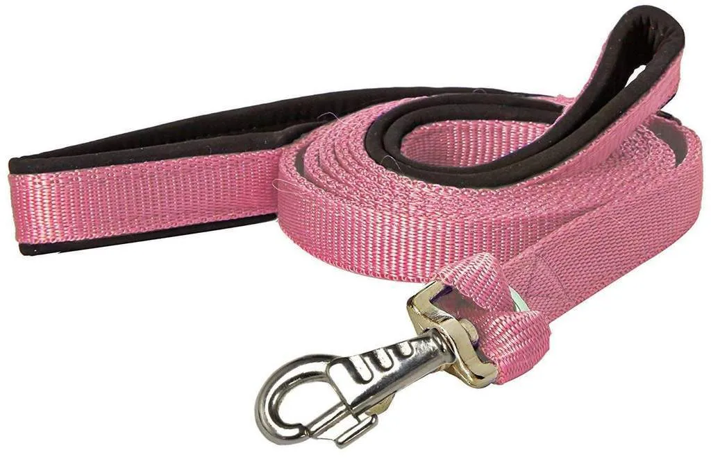 BARGAIN BIN Nylon Padded Double Handle Dog Leash Warranted Replaceable Snap 1" X 4'