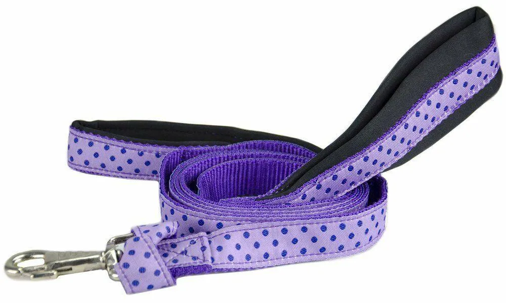 BARGAIN BIN Padded Double Handle Overlay Dog Leash Warranted Snap 1" X 4' Fun Designs