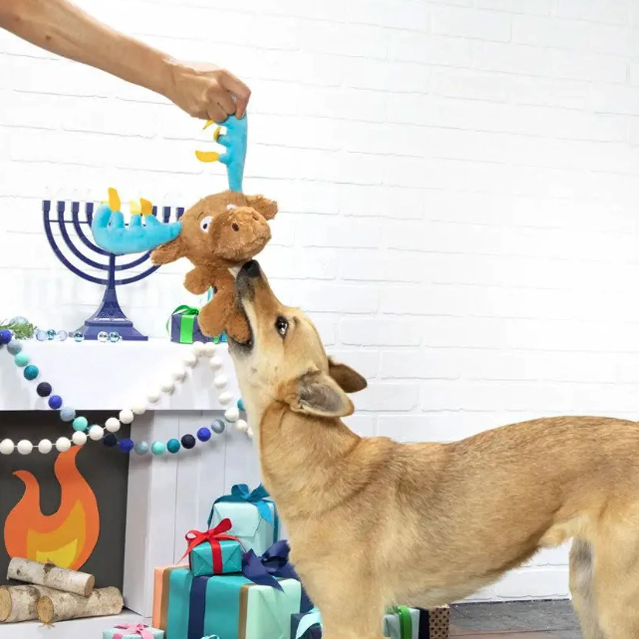 Bark Menorah Moose Dog Toy