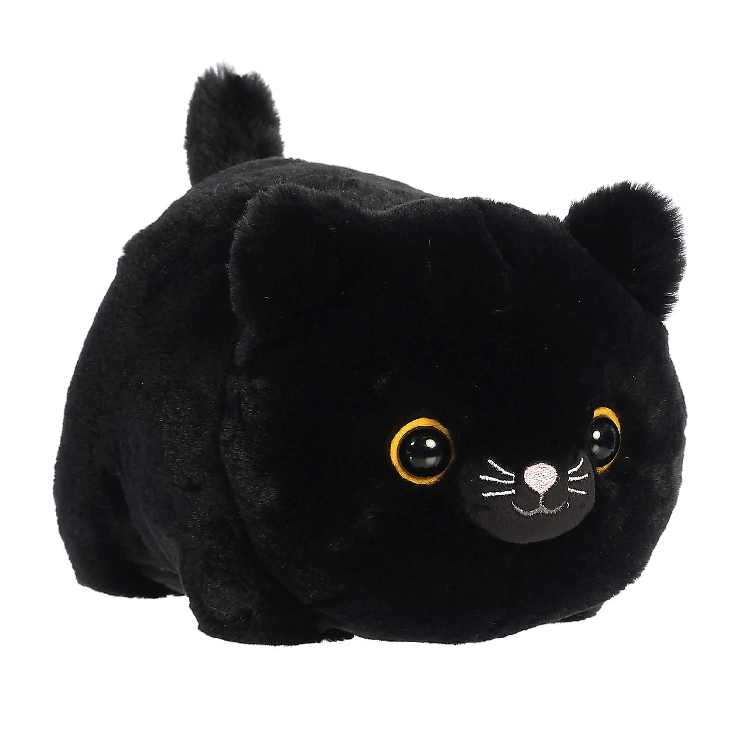 Bella Black Cat