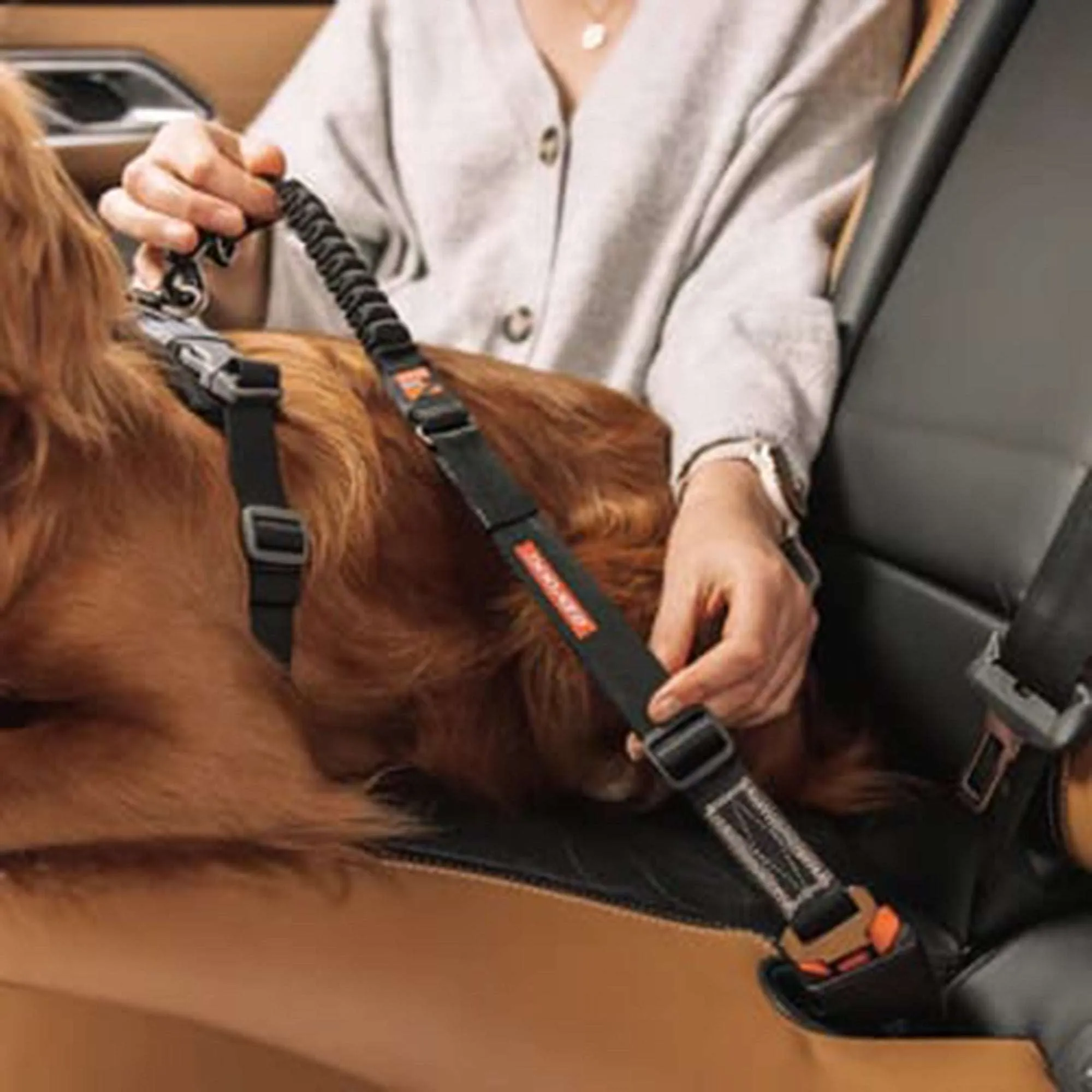 Click Dog Seat Belt Attachment with Drive Click Lead