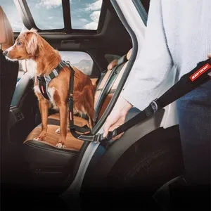 Click Dog Seat Belt Attachment with Drive Click Lead