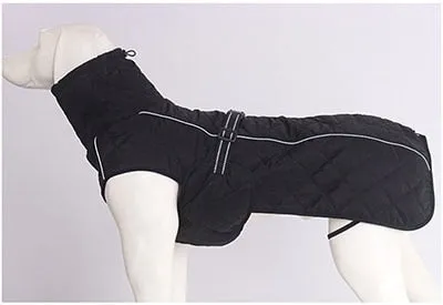 Dog jacket
