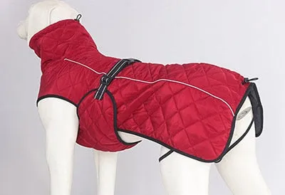 Dog jacket
