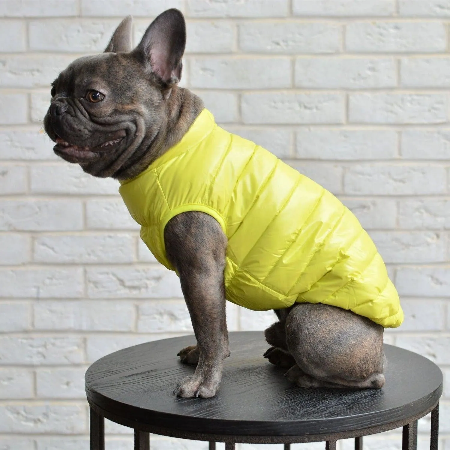 Down Puffer Dog Jacket Vest