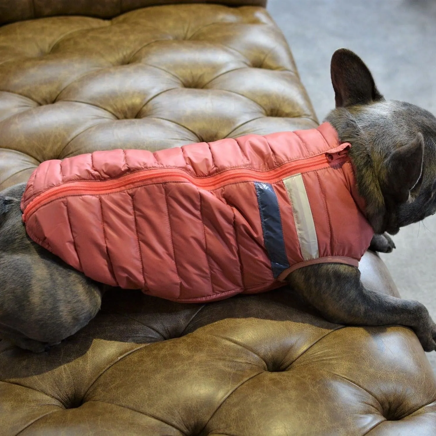 Down Puffer Dog Jacket Vest