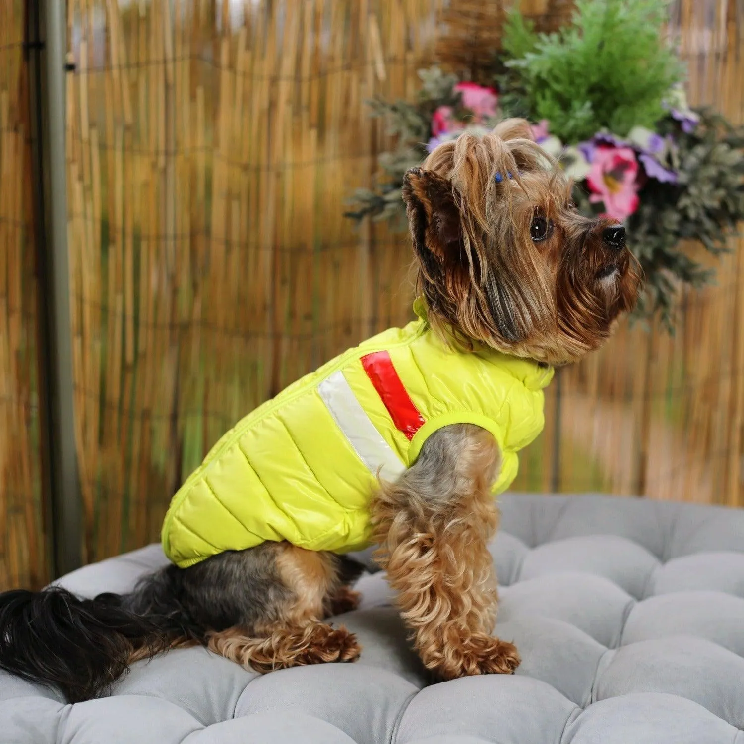 Down Puffer Dog Jacket Vest
