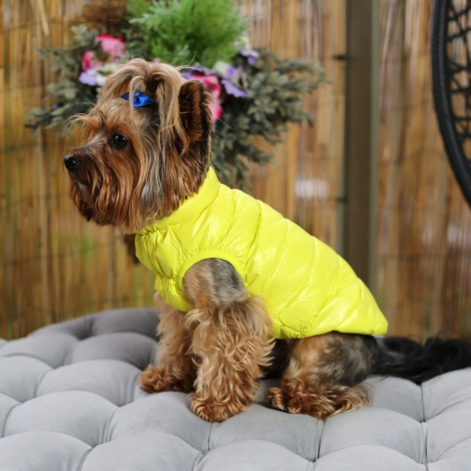 Down Puffer Dog Jacket Vest