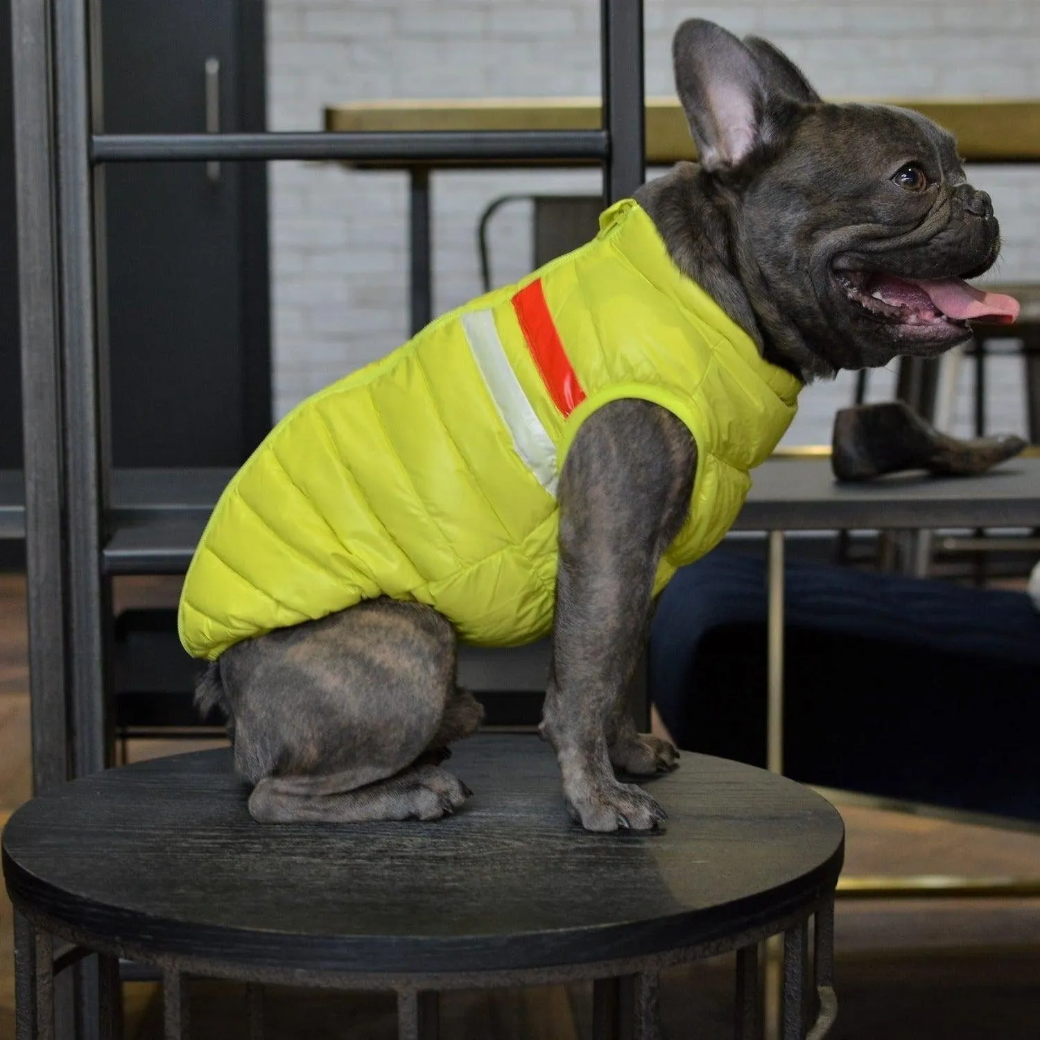Down Puffer Dog Jacket Vest