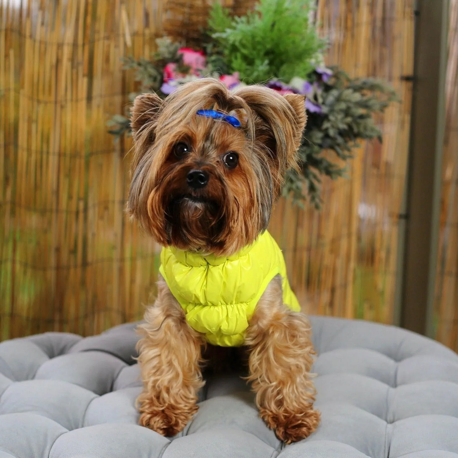 Down Puffer Dog Jacket Vest