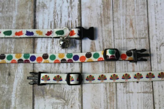 Fall Cat Collars