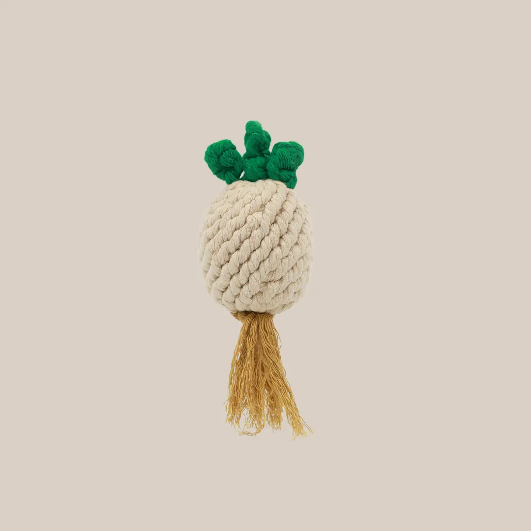 Handmade Onion Rope Toy