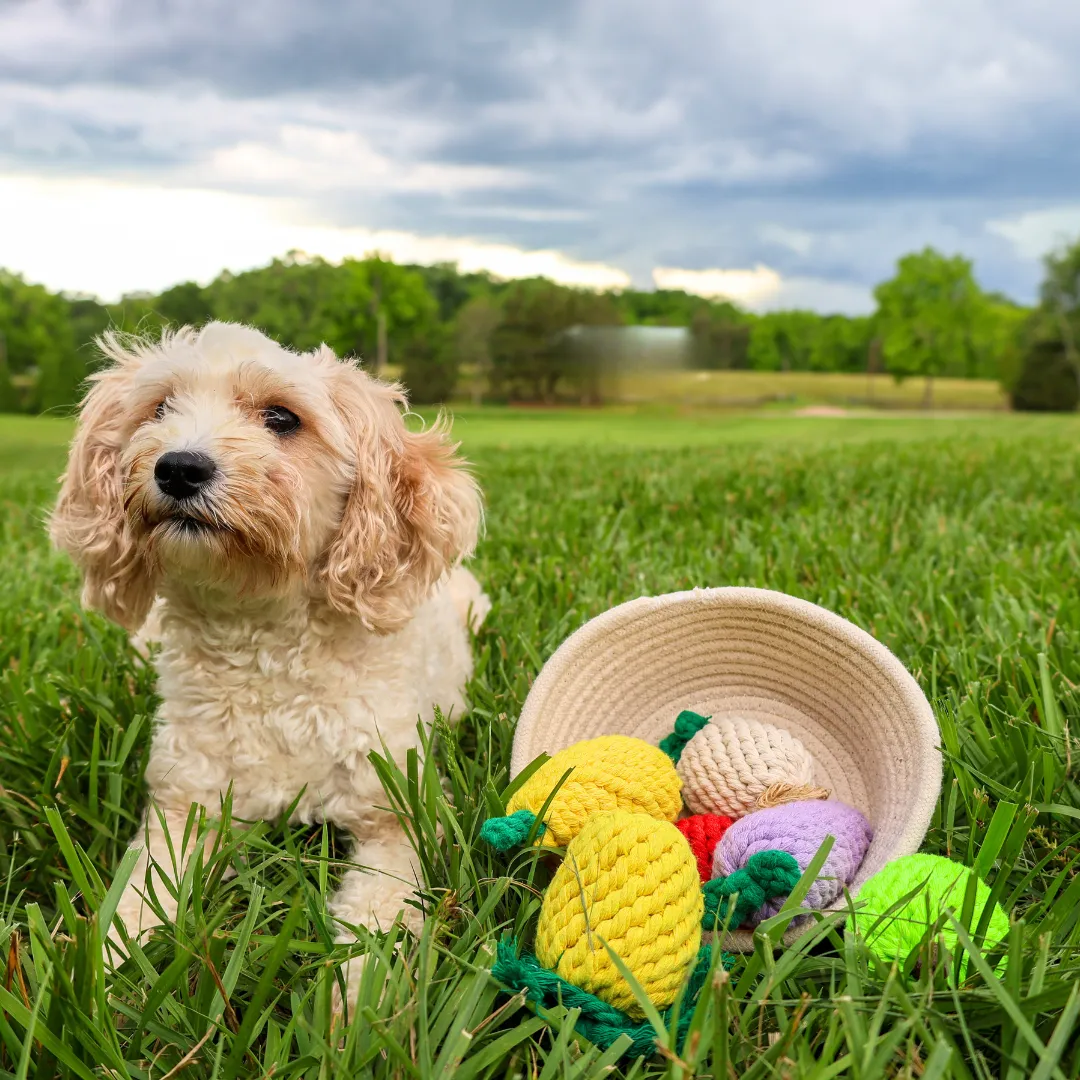 Handmade Small Pineapple Rope Toy