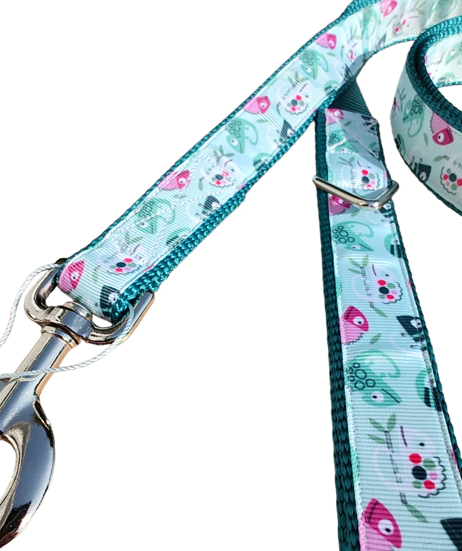 Heavy Duty Chameleon Green Super Heavy Nylon Dog Collar LG, XL, Leash