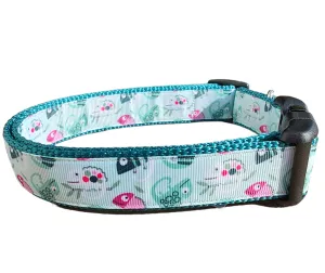 Heavy Duty Chameleon Green Super Heavy Nylon Dog Collar LG, XL, Leash