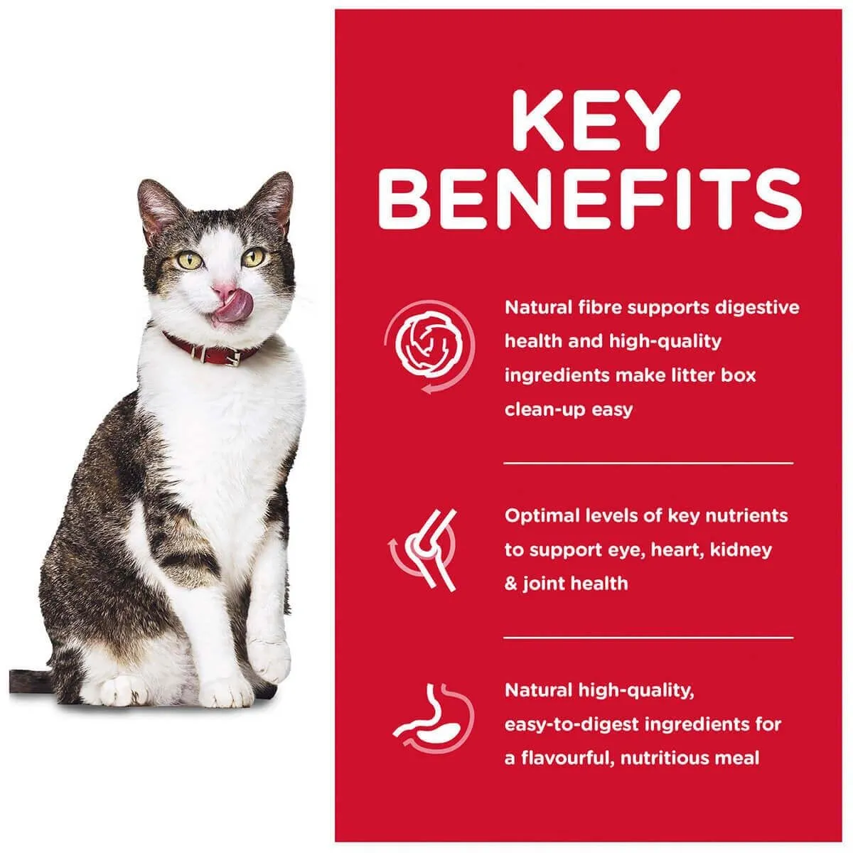 Hill's Science Diet Indoor 11  Senior Dry Cat Food