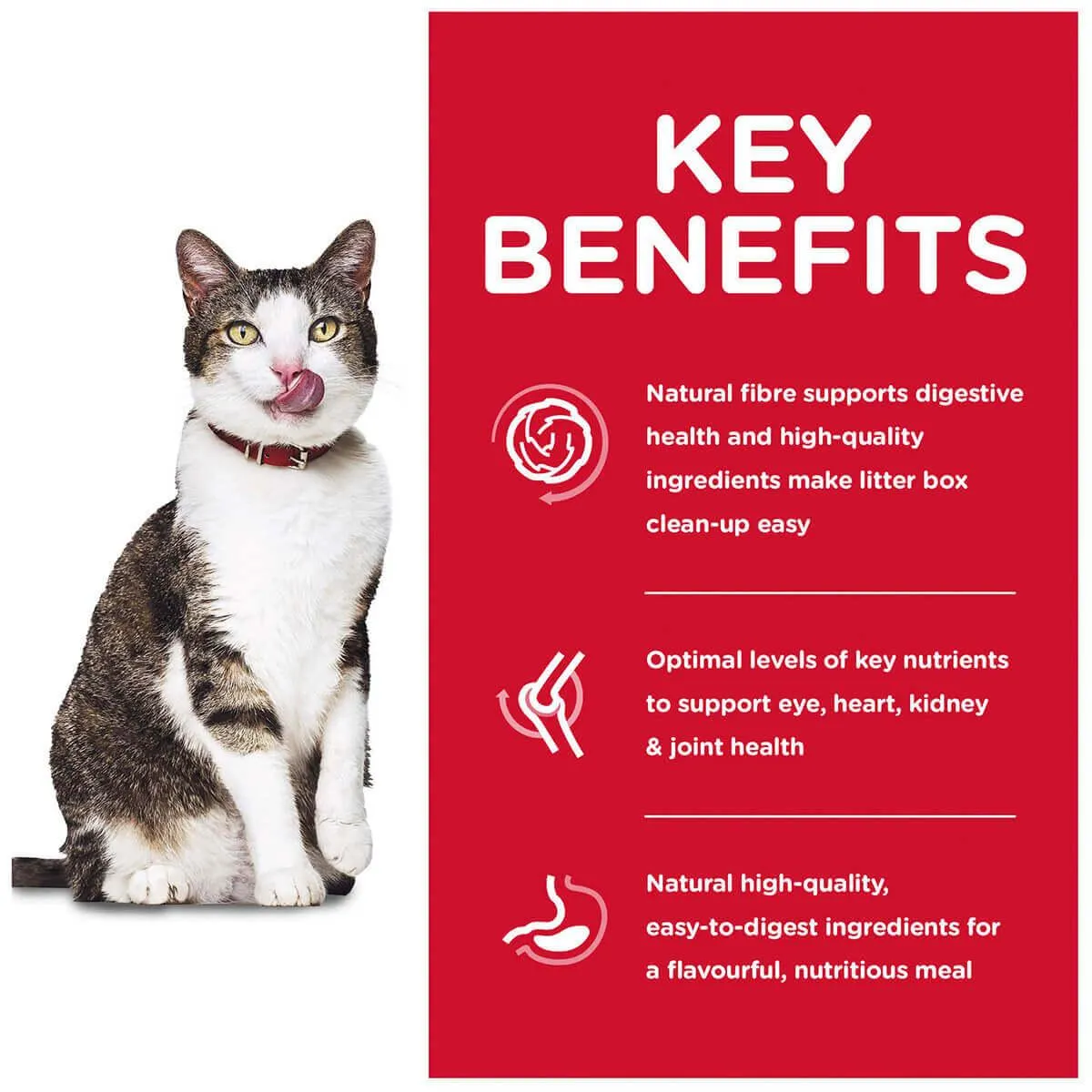 Hill's Science Diet Indoor 11  Senior Dry Cat Food