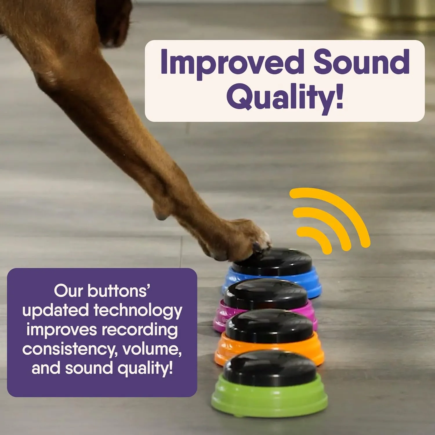 Hunger for Words Talking Buttons Starter Set - Recordable Buttons to Teach Your Dog to Communicate, Dog Training Games