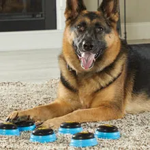 Hunger for Words Talking Buttons Starter Set - Recordable Buttons to Teach Your Dog to Communicate, Dog Training Games