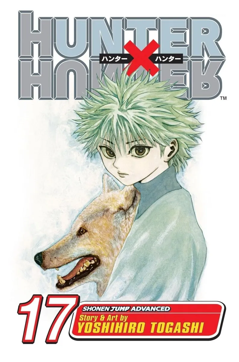 Hunter x Hunter GN Vol 17