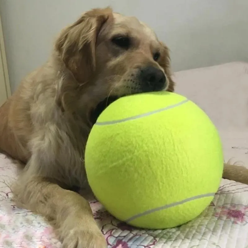 Jumbo Tennis Ball for Autographs, Dogs and Kids