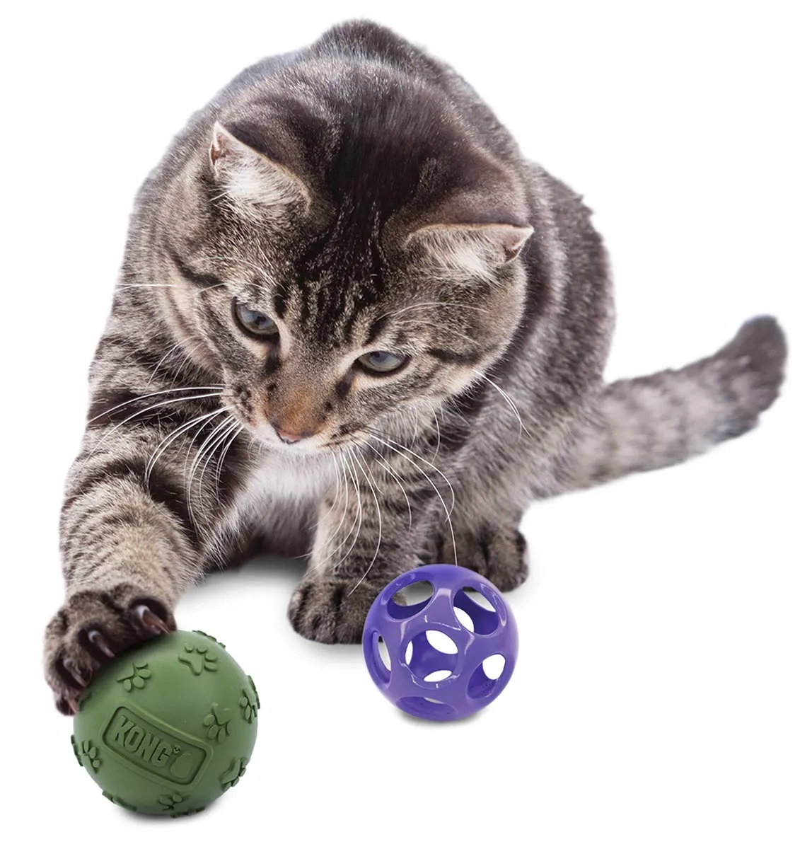 KONG Moon Ball w/Paw Ball Catnip, Purple
