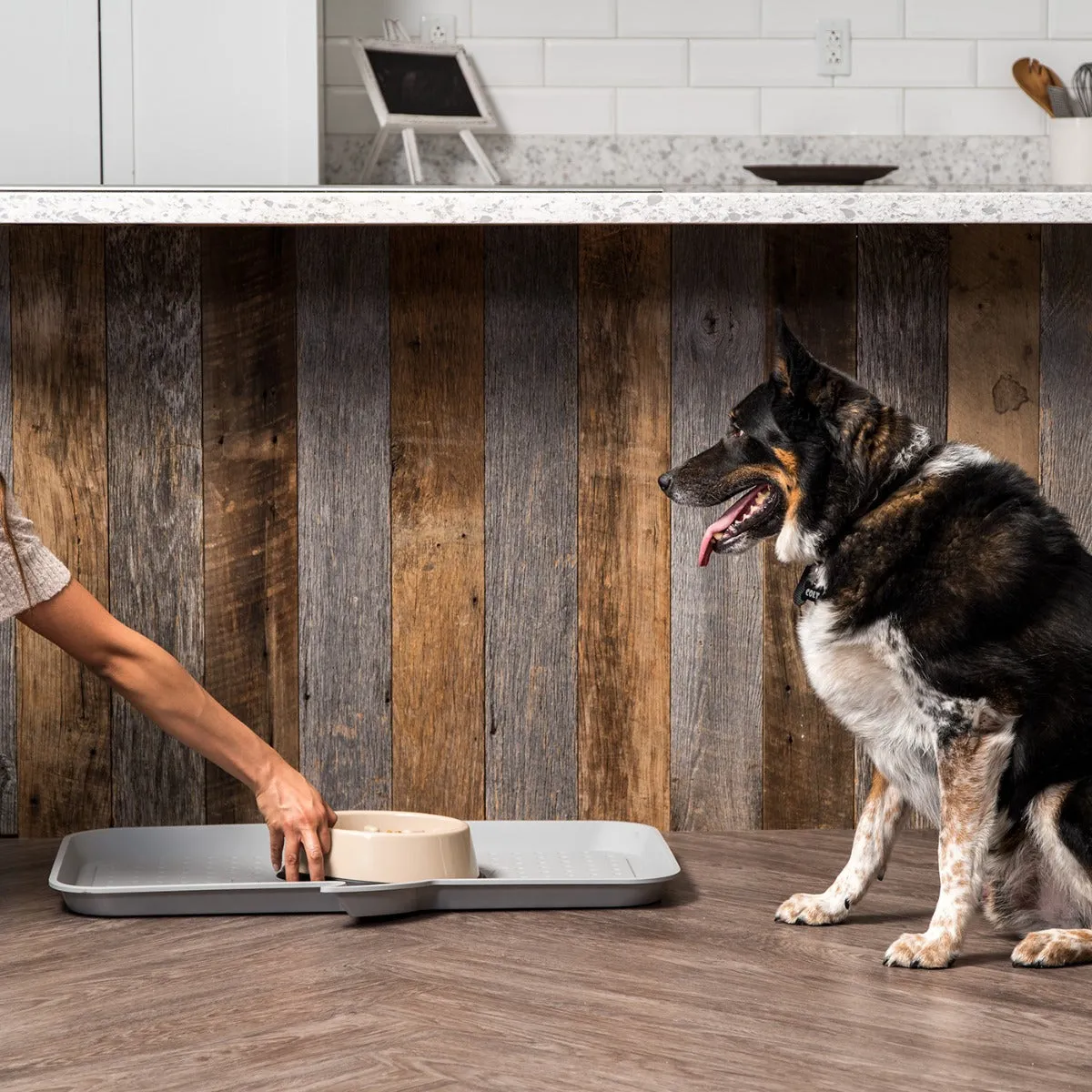Large "FEED ME" Feeding Mat for Dog or Cat, Light Gray