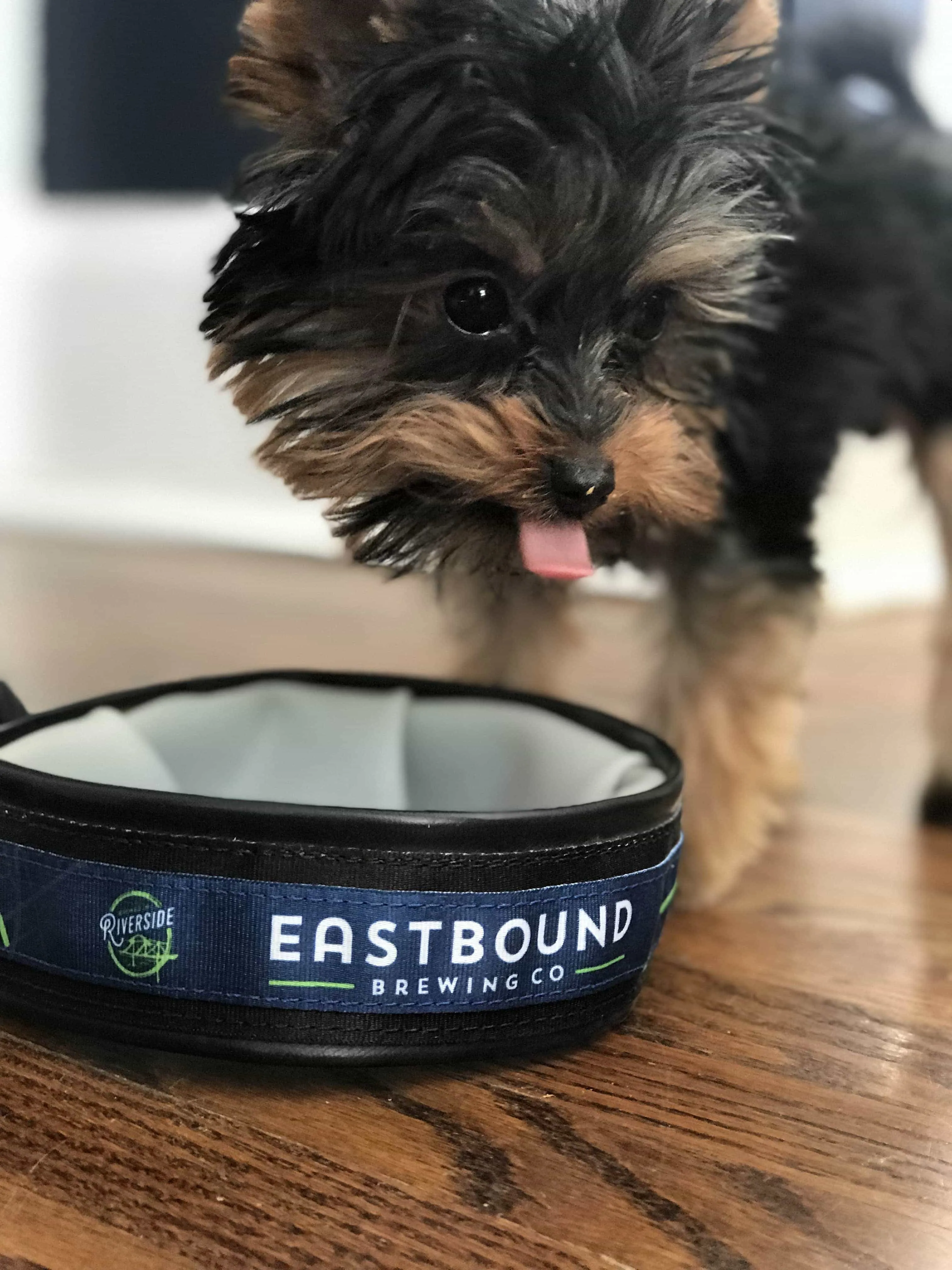 Logo Pet Travel Bowl