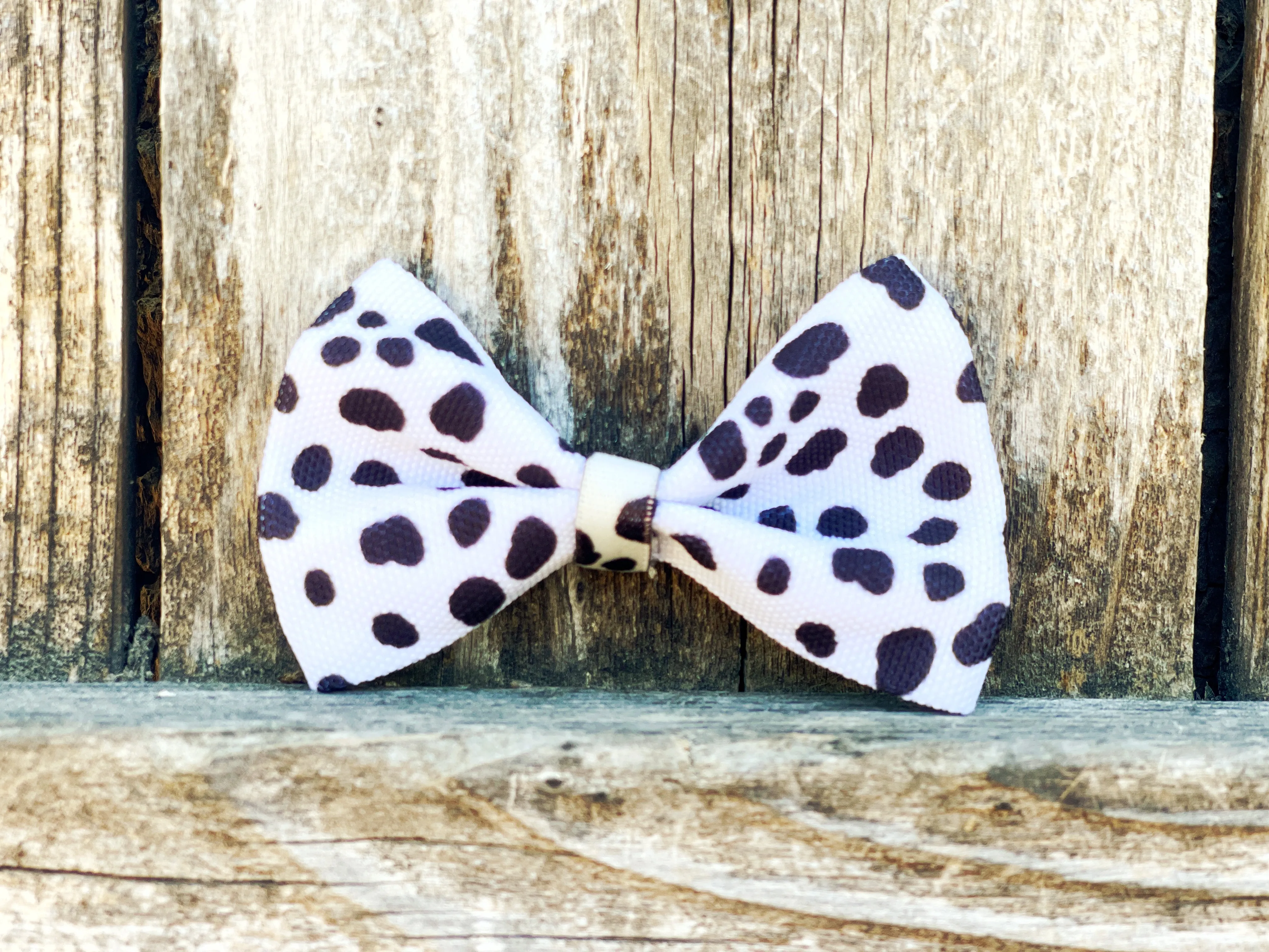 Moo - Matching Canvas Dog Bow Tie