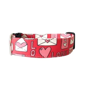 Personalized Dog Collar | Love Letters Valentines Day Collar | Duke & Fox®