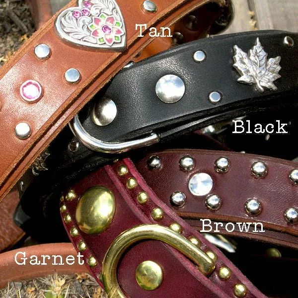 Personalized Dog Collar with Nameplate 1.25" Wide