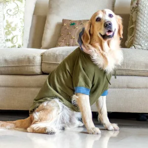 PoochMate Olive Melrose Dog Sweatshirt