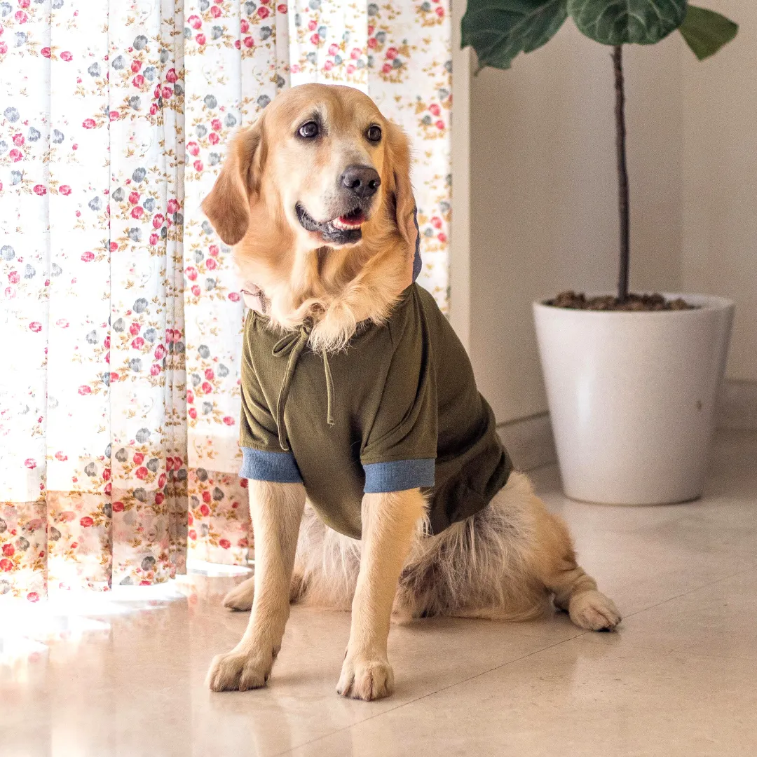 PoochMate Olive Melrose Dog Sweatshirt