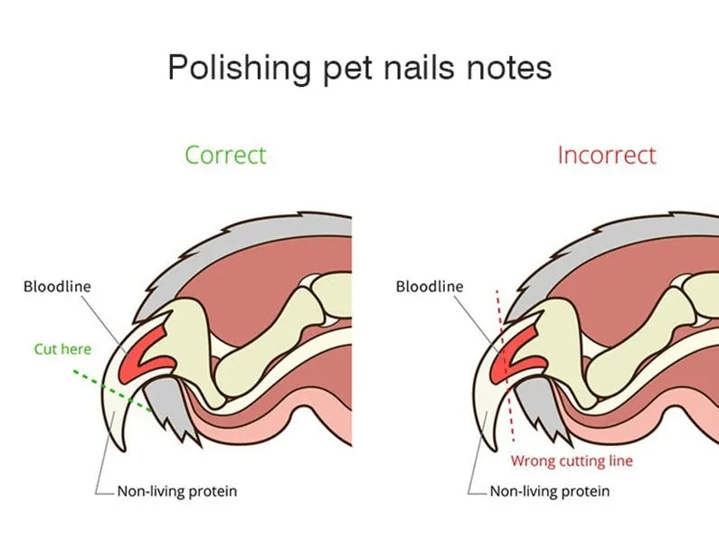 Rechargeable Powerful Pet Nail Trimmer With LED Light