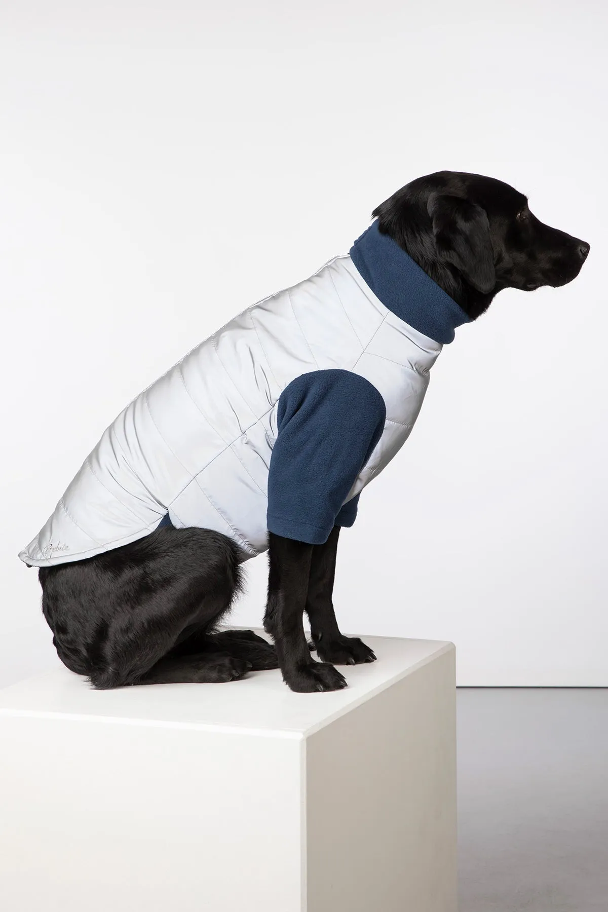 Reflective Dog Jumper - Muston