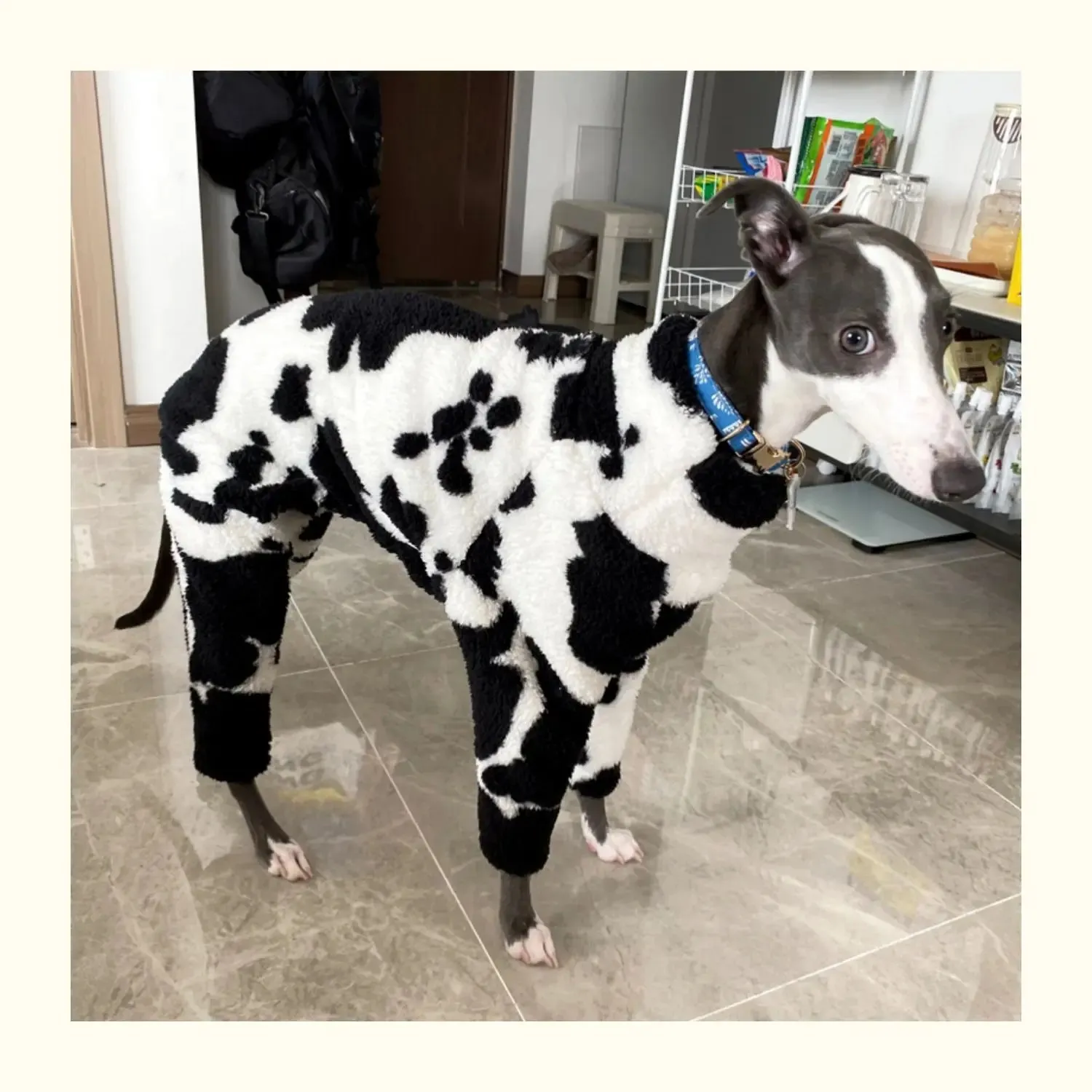 Small Italian Greyhound Clothes | Warm Cotton Large Stretch Outdoor Camouflage & Green Cow Spot Design | Large Dog Terrier Whippet