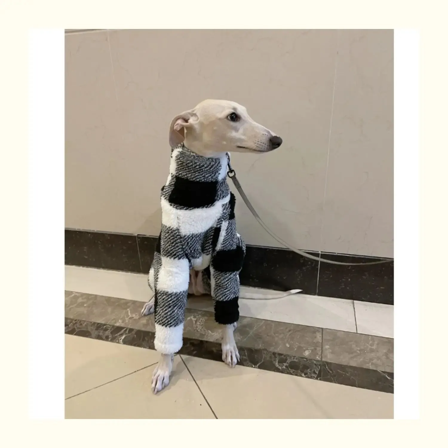 Small Italian Greyhound Clothes | Warm Cotton Large Stretch Outdoor Camouflage & Green Cow Spot Design | Large Dog Terrier Whippet