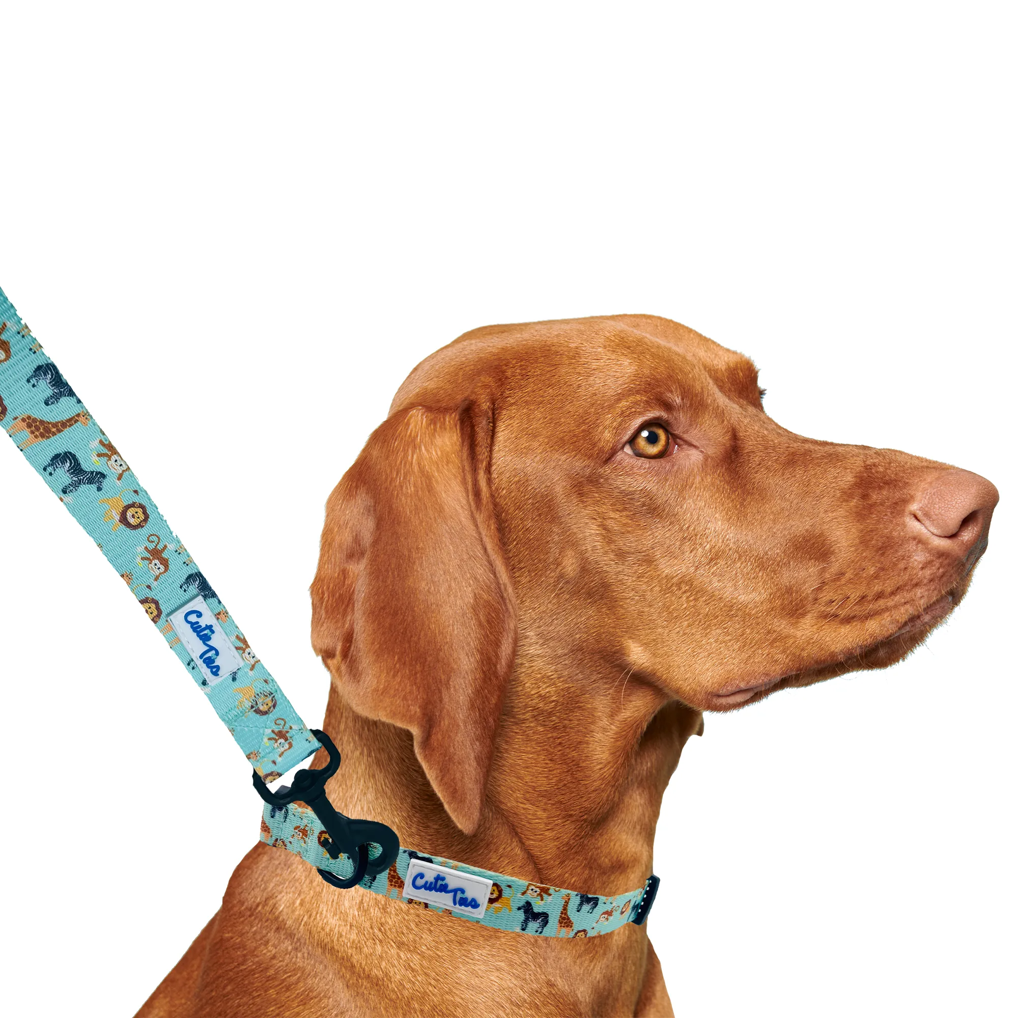 Zoo Furiends Dog Leash