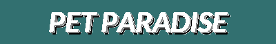 Flash Offers & Winter Collection | Pet Beds, Collars, Toys & More - Pet Paradise